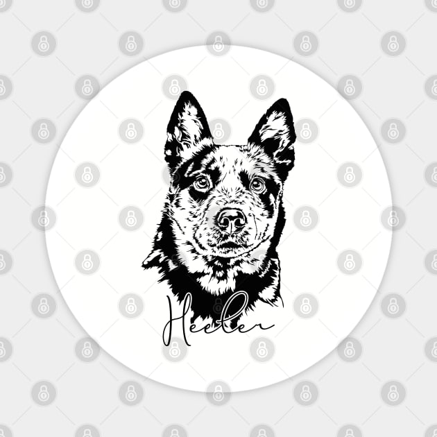 Funny Blue Heeler lover dog portrait Magnet by wilsigns